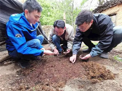 致富养殖信息_致富养殖好项目大全_成都养殖致富