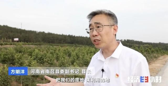 独活种植致富_种植独活药材用什么肥料好_种植独活的经济效益