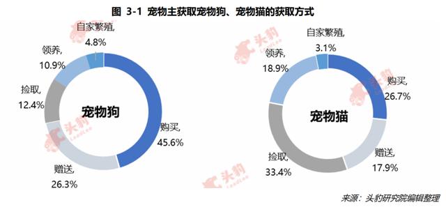 养狗技术培训班_培训养殖宠物狗技术视频_宠物狗养殖技术培训