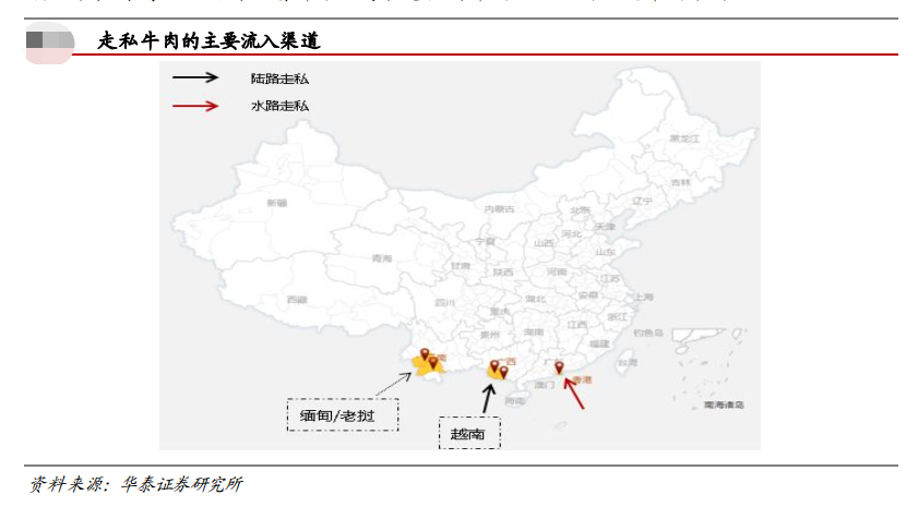 致富经养殖牛_2008年致富经养牛_2021年致富经养牛视频