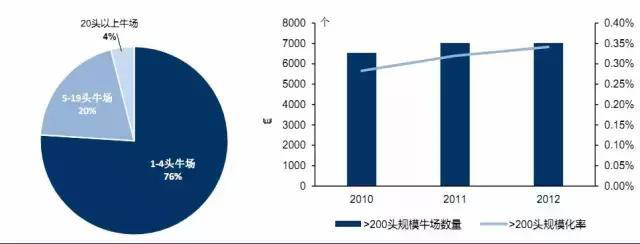 致富经养殖牛_2008年致富经养牛_2021年致富经养牛视频