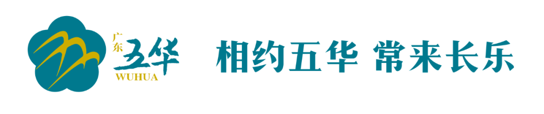 五华：龙须菜、树仔菜等特色蔬菜种植助农增收