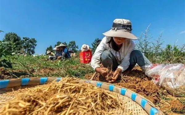 种植养殖致富行业_致富养殖种植行业现状_种养致富项目