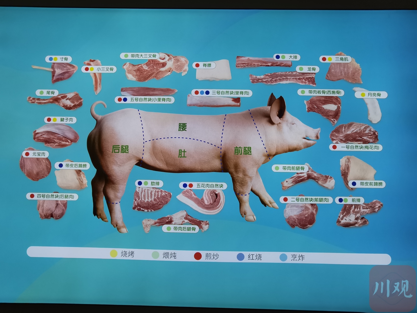 黑猪养殖 致富_养殖黑猪赚钱吗_养殖黑猪前景怎么样