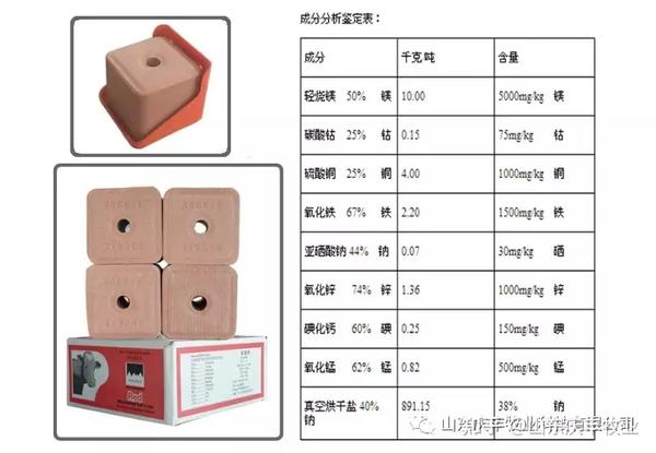 养殖肉牛的技术有哪些_常识养殖肉牛技术培训_肉牛养殖技术常识