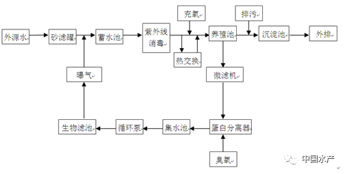 养虾新技术来了！凡纳滨对虾工厂化循环水养殖技术到底怎么样