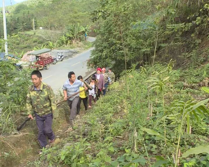 致富经药材种植业完整版_致富经中草药种植项目_种植中药材群众致富经验