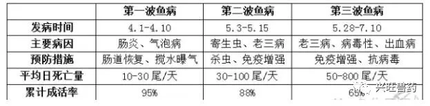 7-8月份草鱼生长黄金季节 高温期草鱼投喂管理大全