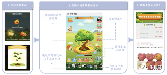 致富经种植石榴_致富石榴种植方法_致富石榴种植视频