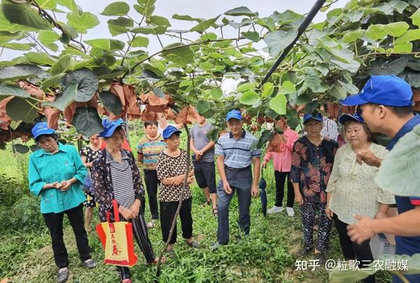 致富经种植石榴_致富石榴种植视频_石榴种植效益