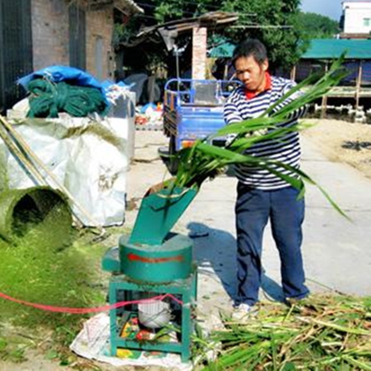 土豆养殖技术全集_土豆全集养殖技术与管理_土豆全集养殖技术