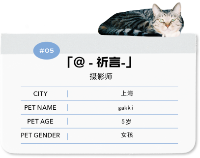 养殖致富的猫腻_致富养殖好项目大全_养殖致富经