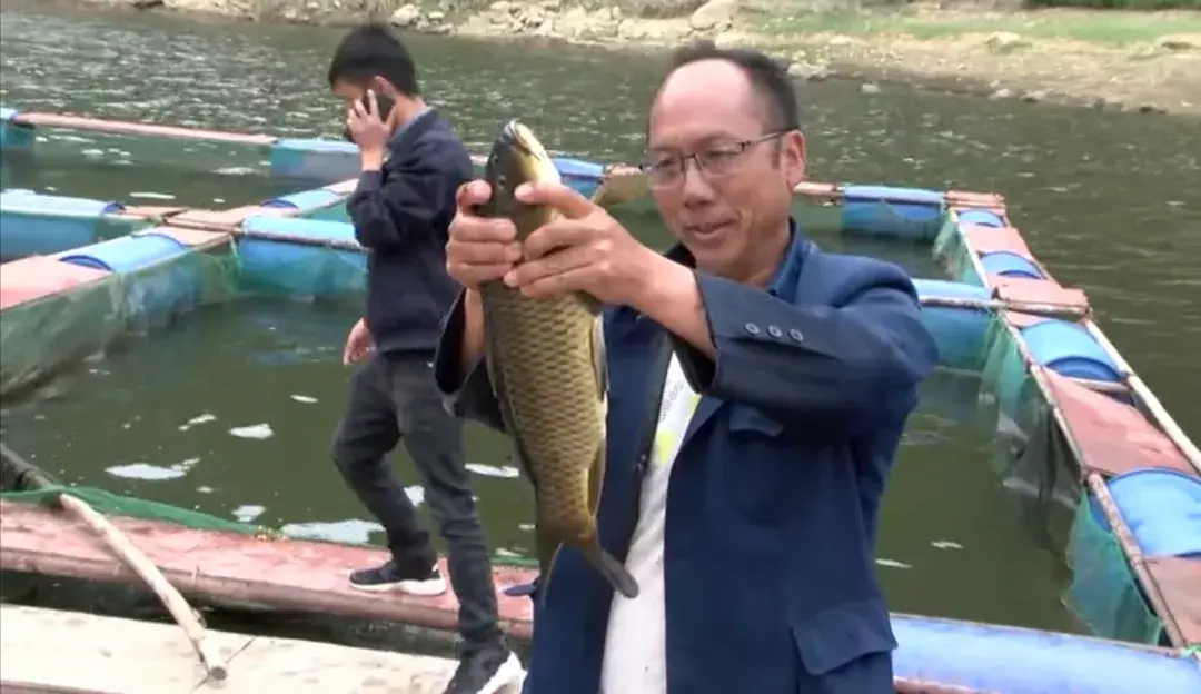 冷水养殖致富_致富经冷水鱼养殖视频_冷水鱼养殖项目