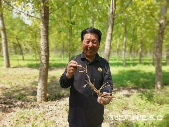 致富种植业_2019致富种植_致富种植什么比较赚大钱