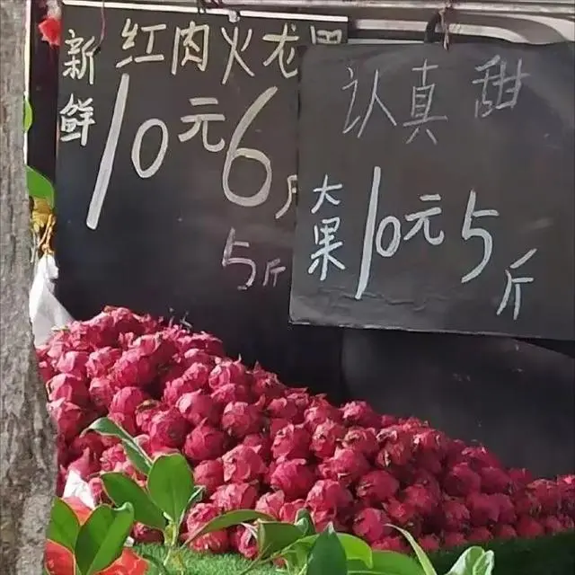 香柚树种在庭院什么位置好_香柚树的种植技术_香柚的种植与管理