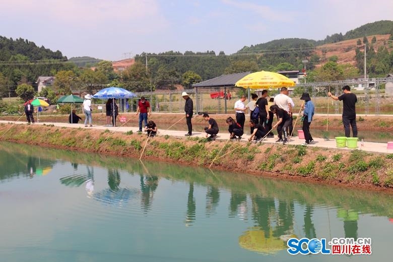 中江黄鹿镇发展特色水产养殖  小龙虾带动村民致富