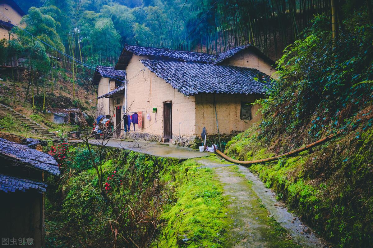 四川种植业_四川致富经种植技术_四川种植什么赚钱