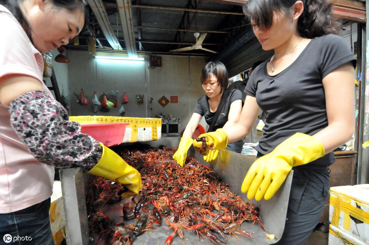 致富经小龙虾加工视频_龙虾加工厂设备视频_龙虾加工方法视频