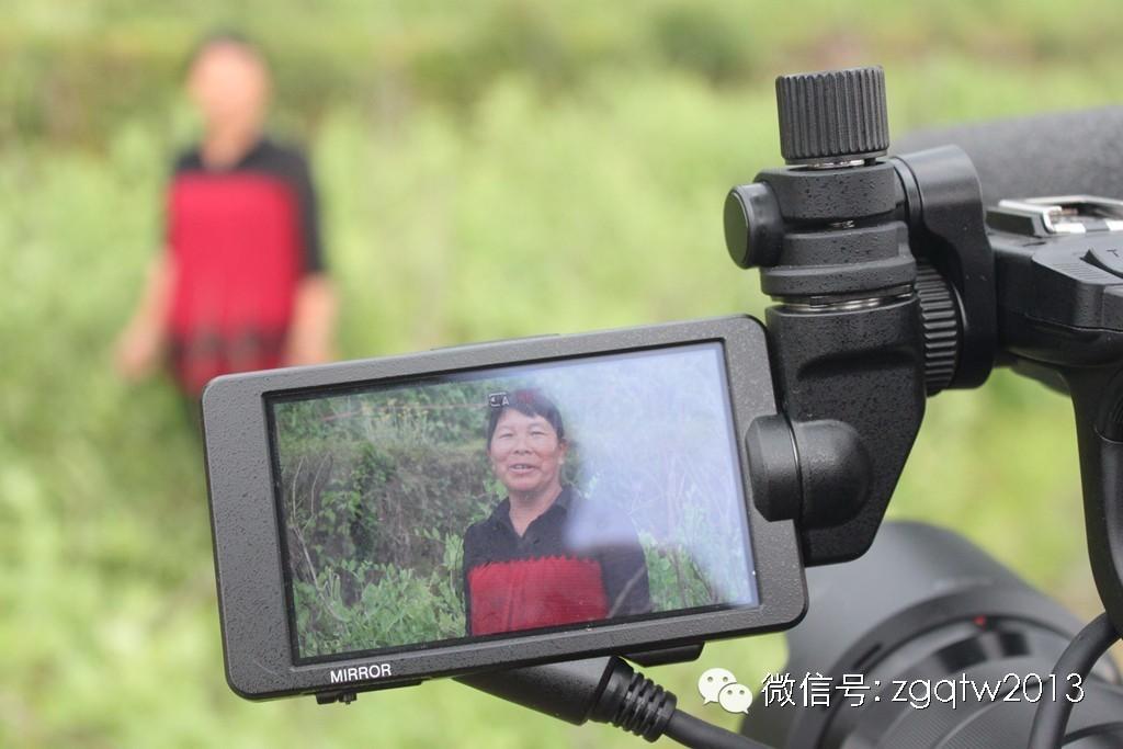 四川致富经种植技术_四川种植什么赚钱_四川农村种植致富好项目