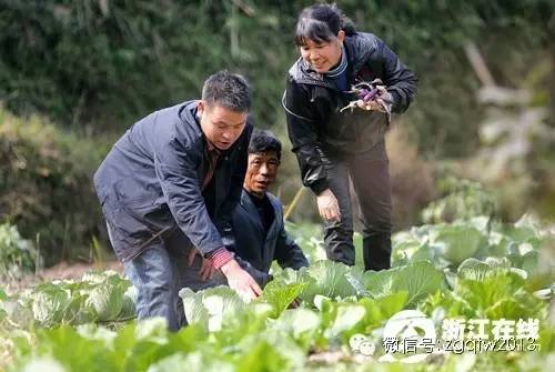 四川致富经种植技术_四川农村种植致富好项目_四川种植什么赚钱