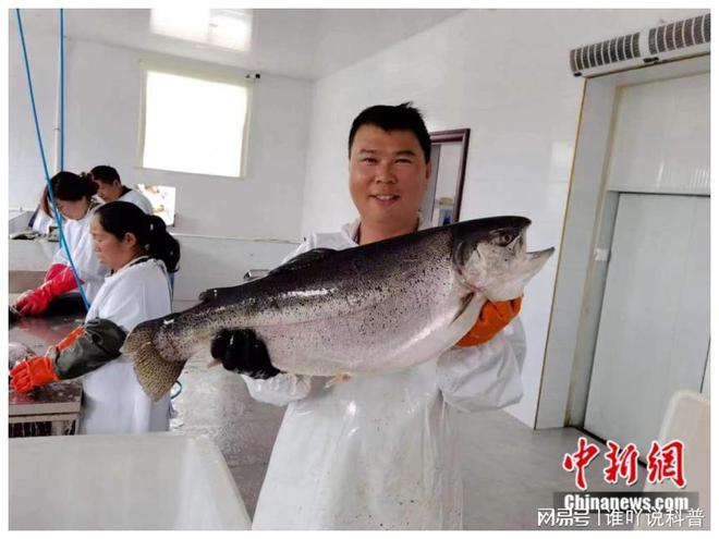 致富水库养鱼片记录怎么写_致富经河道养鱼完整视频_致富经水库养鱼记录片