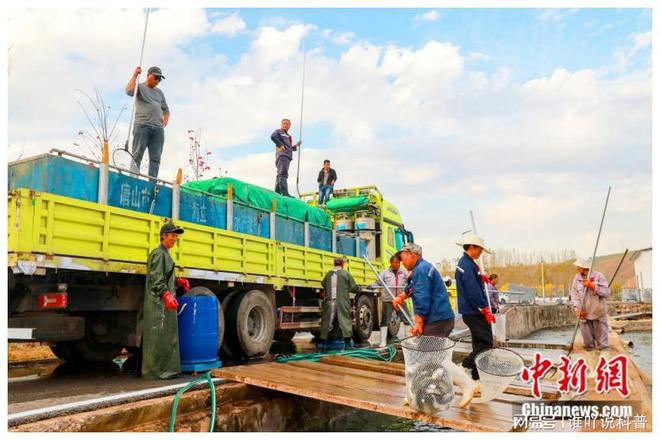 致富水库养鱼片记录怎么写_致富经水库养鱼记录片_致富经河道养鱼完整视频