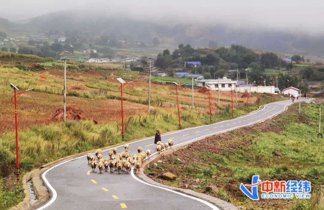 ▲四川凉山特口甲谷村的新修公路