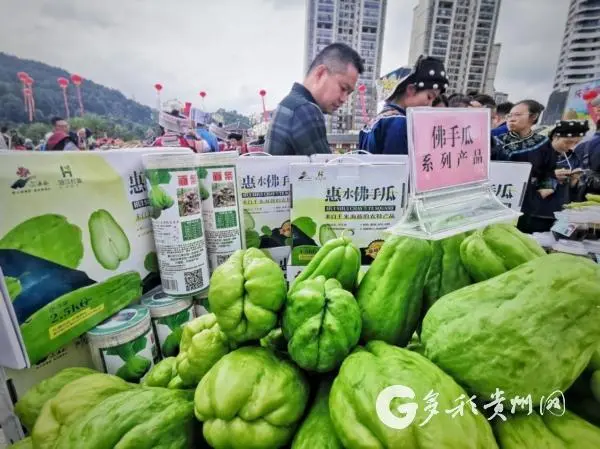 种植小黄姜技术_小黄姜种植致富_高产小黄姜种植技术