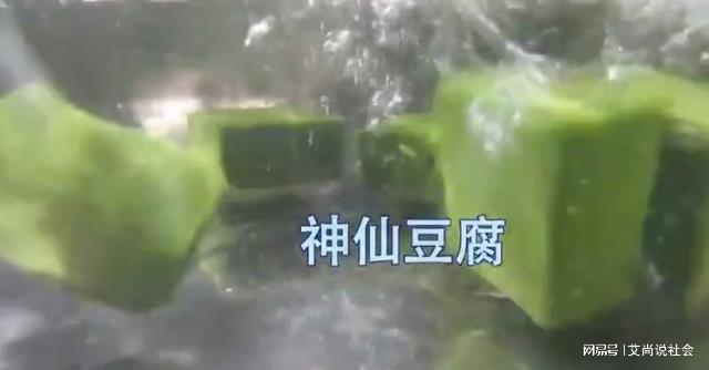 树叶养殖_树叶种植致富_致富树叶种植视频