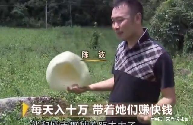 树叶养殖_致富树叶种植视频_树叶种植致富