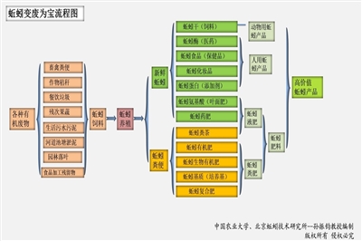 蚯蚓养殖技术简单么_养殖蚯蚓简单技术视频_养殖蚯蚓简单技术视频教程