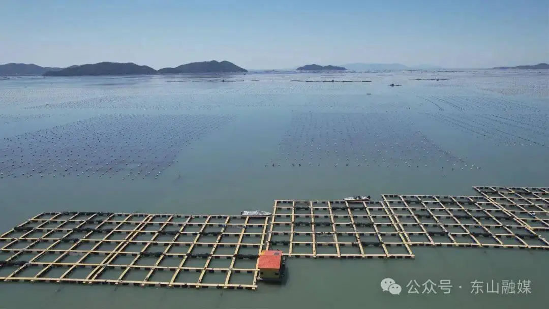 致富养殖鲳鱼图片_鲳鱼养殖致富_鲳鱼养殖成本和利润