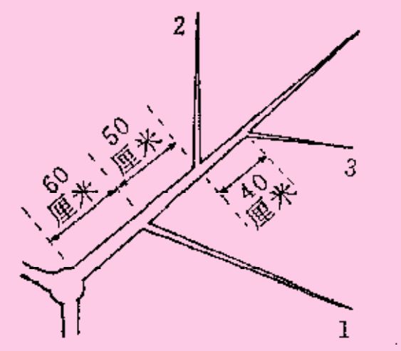 冬季桃树致富经_冬季桃树管理技术视频_冬季桃树长什么样