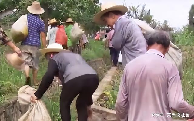 致富树叶种植视频_树叶种植致富_靠树叶致富