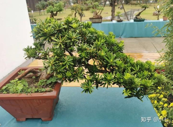 致富养殖好项目大全_致富养殖种植妙方大全_种植养殖致富妙方