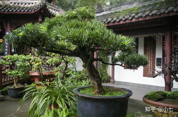 致富养殖种植妙方大全_致富养殖好项目大全_种植养殖致富妙方