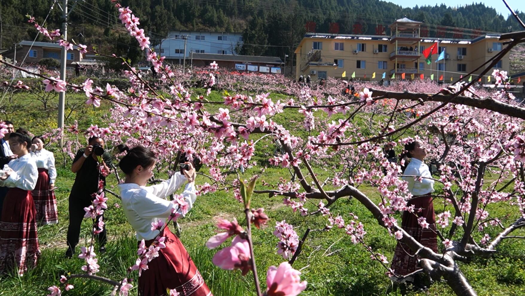 奉节县三峡桃源的美丽风光（朱松 摄）