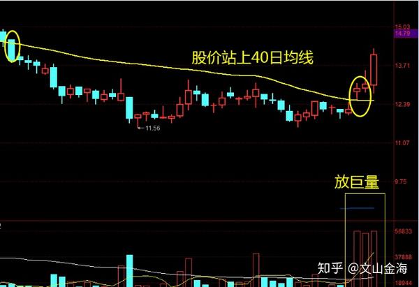 内蒙古甘草种植基地_内蒙古 甘草种植技术_内蒙甘草种植合作社