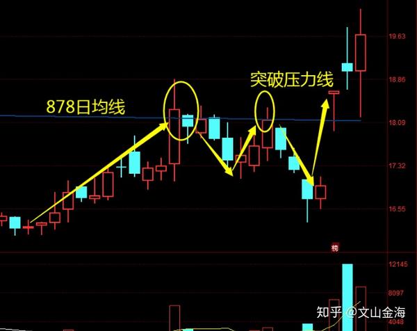 内蒙古 甘草种植技术_内蒙古甘草种植基地_内蒙甘草种植合作社