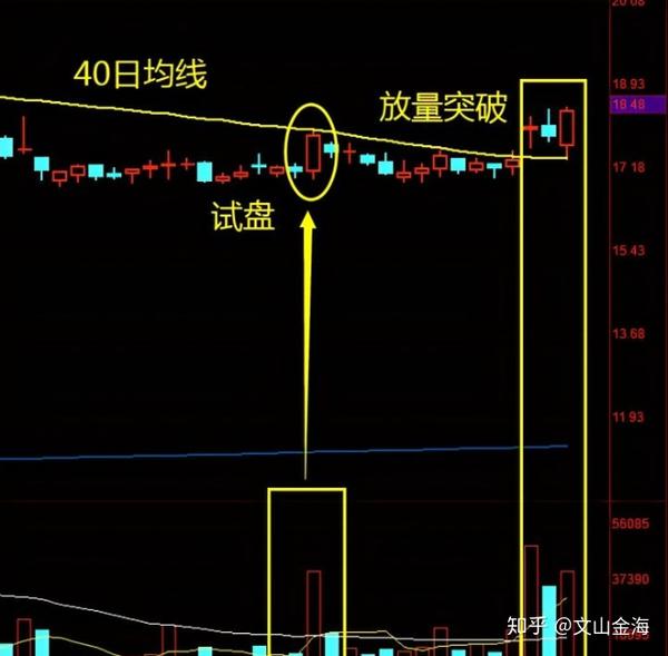 内蒙古甘草种植基地_内蒙甘草种植合作社_内蒙古 甘草种植技术