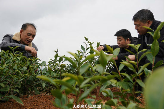 铜仁杨昌霞 致富经_铜仁杨昌霞 致富经_铜仁杨昌霞 致富经