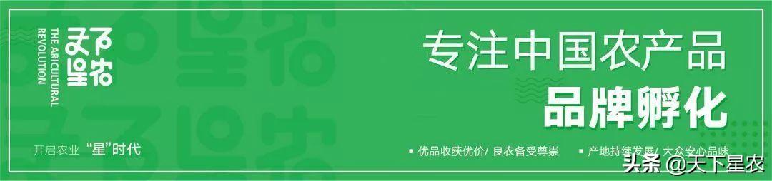 农民工出身，高中毕业的他回乡创业，养殖稻田虾年赚百万