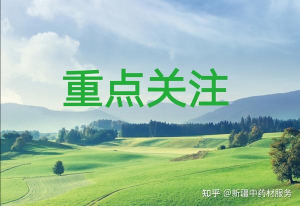 高鹏说药材：创新中药材种植产业发展新模式，促进农业转型升级