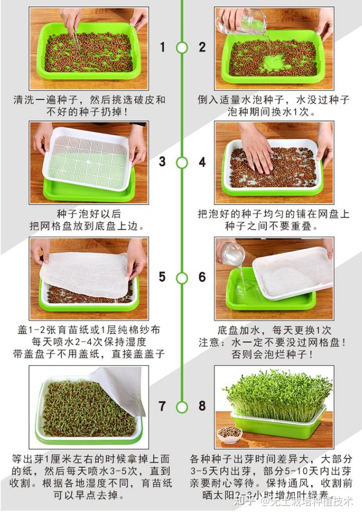 菜豆种植致富_菜豆种植技术_豆类蔬菜栽培技术