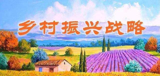 致富养殖土鸡图片高清_致富经土鸡养殖_致富经土鸡养殖图片