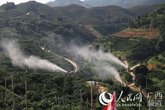 村民种植黑皮冬瓜致富_广东丘陵种植致富_农村致富种植