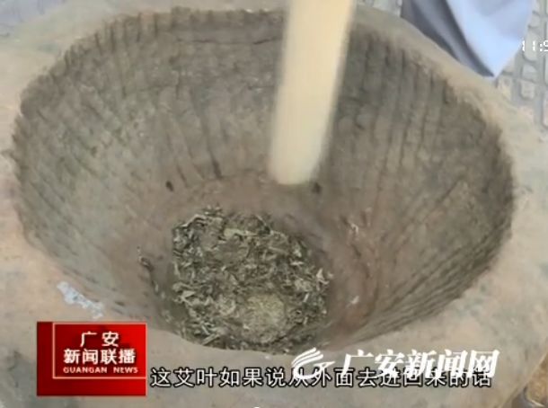 致富效果种植艾叶图片_致富效果种植艾叶怎么样_艾叶种植致富效果