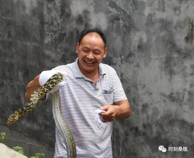 养殖蛇需要投资多少钱_养蛇视频致富经_养殖蛇致富