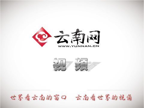 种植西红柿致富人_致富西红柿种植人是谁_种植西红柿效益如何