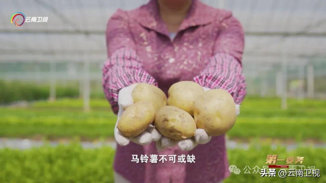 种植致富经视频_农业节目致富经种植视频_致富种植视频全集